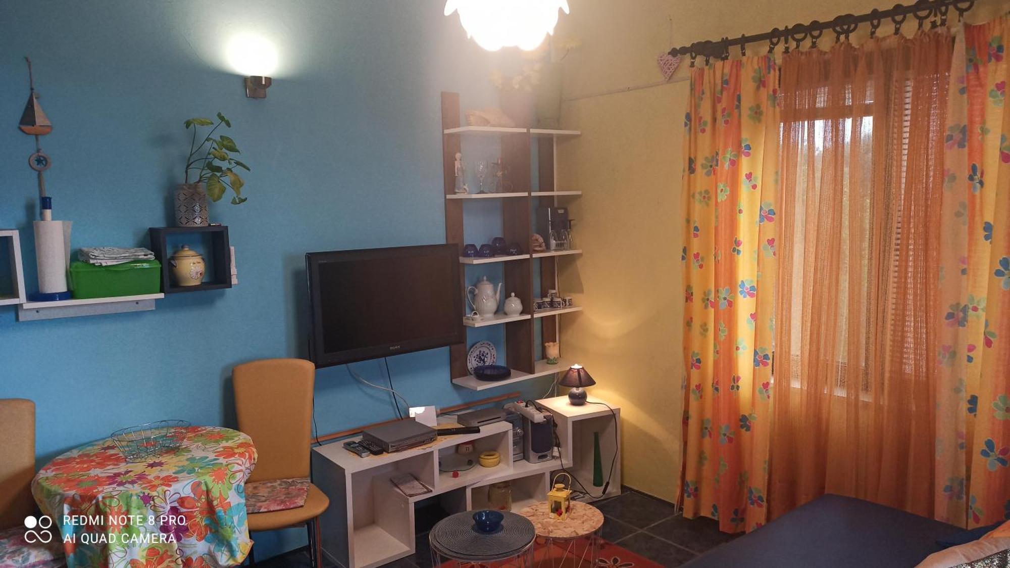 Apartmani Zute Račišće 客房 照片
